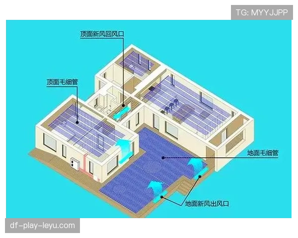 🌡️ 环境因素深度剖析：湿热气候对球员体能的消耗，究竟有多大？